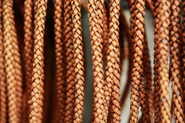 Çam koni arka plan kablolu.