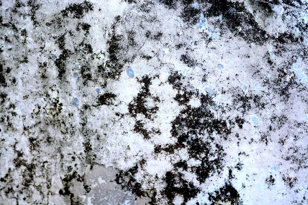 Grunge duvar bariyer arka plan