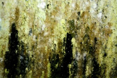 Harç arka planını yapılan duvarlı duvar