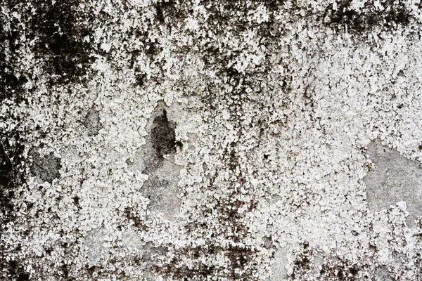 Harç arka planını yapılan duvarlı duvar