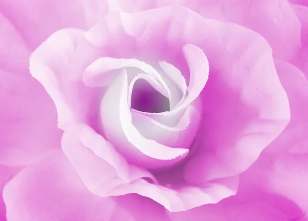 Süße Farbe Nahaufnahme Rosen Weichen Stil Hintergrund — Stockfoto