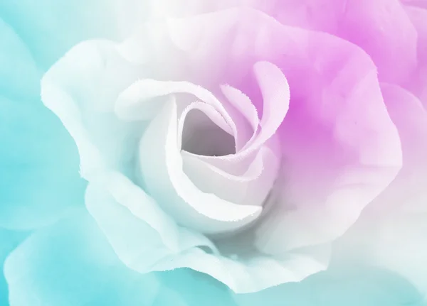 Солодкий Колір Крупним Планом Троянди Якому Стилі Фону — стокове фото
