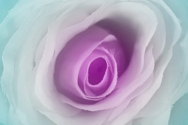 Солодкий Колір Крупним Планом Троянди Якому Стилі Фону — стокове фото