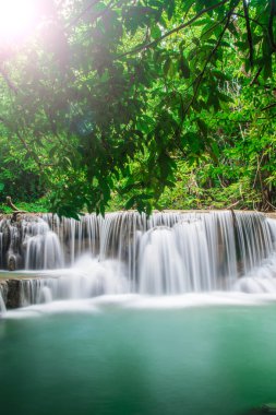 şelale ve yeşil Resting Place orman ve zaman rahatla