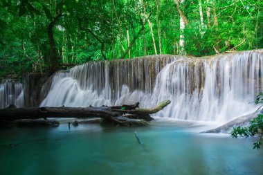 şelale ve yeşil Resting Place orman ve zaman rahatla