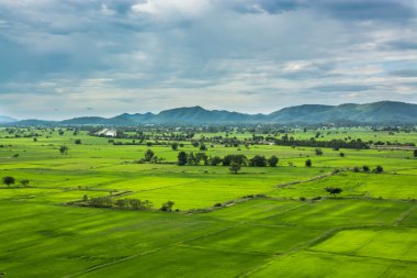 şelale ve yeşil Resting Place orman ve zaman rahatla