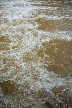 sel ve sel arka plan