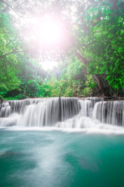 güzel şelale ve yeşil Resting Place orman ve zaman rahatla