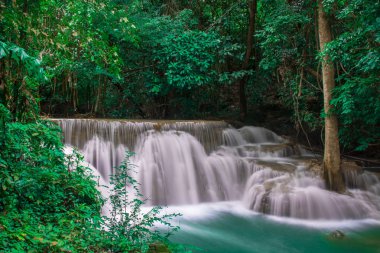 güzel şelale ve yeşil Resting Place orman ve zaman rahatla