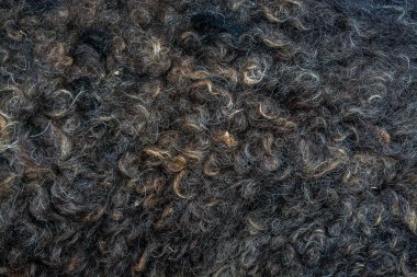 soyut kürk arka kapatmak 