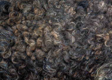 soyut kürk arka kapatmak 