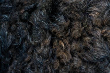 soyut kürk arka kapatmak 