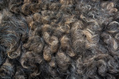 soyut kürk arka kapatmak 