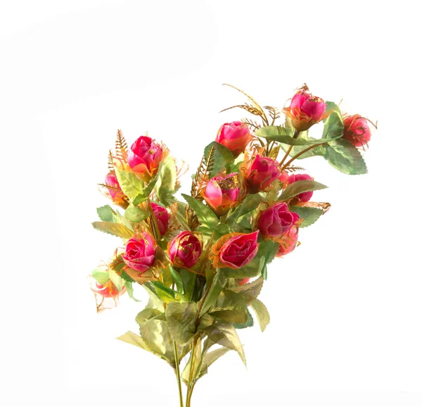 Schöne Farbe Rosa Jahrgang Isoliert Auf Weiß — Stockfoto