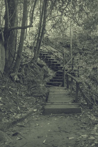 Ponte Legno Nella Foresta — Foto Stock