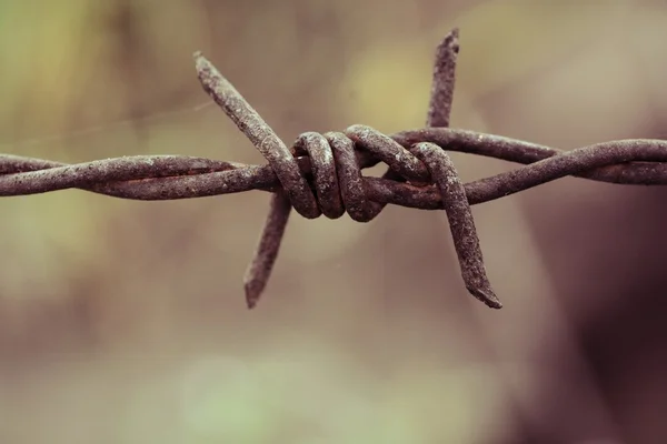 Rezavá Ostnatým Drátem Detail — Stock fotografie