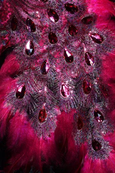 Klejnot Czerwony Klejnot Furry Sukienka — Zdjęcie stockowe