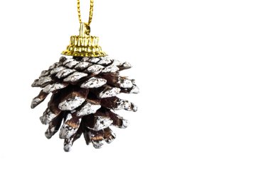 Çam kozalakları Noel izole