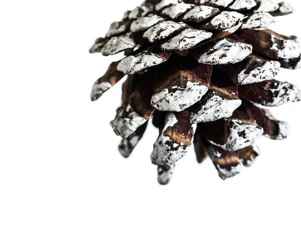 Pine Cones Christmas Isolated — Stock Photo, Image