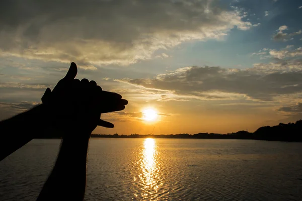 Mão Formas Cão Silhueta Céu Sol Manhã — Fotografia de Stock