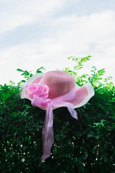 Belle Chapeau Femme Été Sur Plante Verte — Photo