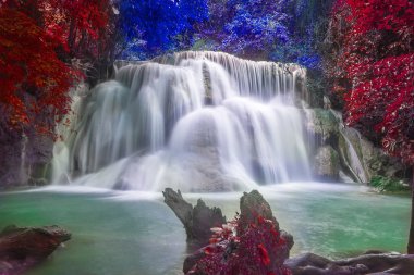 Şelale ve yeşil orman Resting Place fantezi ve zaman rahatla