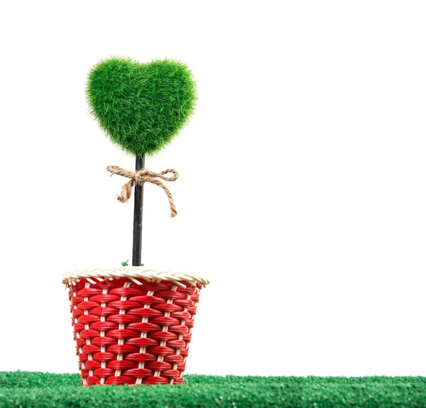 Plant Pot Shaped Heart — Stock Photo, Image