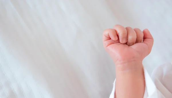 Mão Bebê Branco — Fotografia de Stock