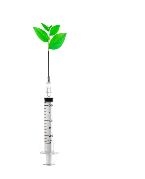 Spuit Injecteren Uit Groene Blad — Stockfoto