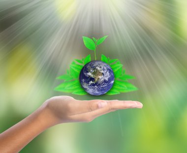 El yeşil yaprak, Nasa tarafından döşenmiş bu görüntü unsurları ile yeryüzünde