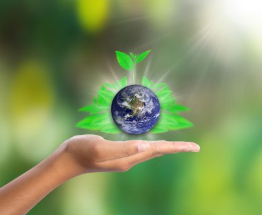 Earth on hand with green leaf, elements of this image furnished by NASA clipart