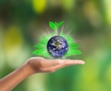 El yeşil yaprak, Nasa tarafından döşenmiş bu görüntü unsurları ile yeryüzünde