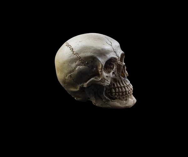 Human Skull Isolated Black Background — Stock Photo, Image