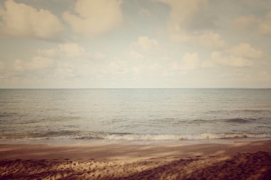 Güzel sahil ve tropikal deniz