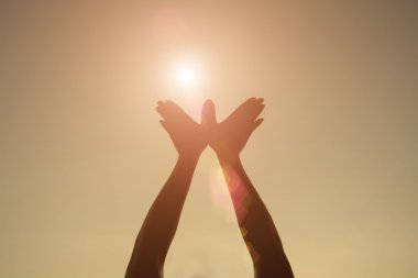 el şeklinde kuş anında güneş gökyüzü sabah