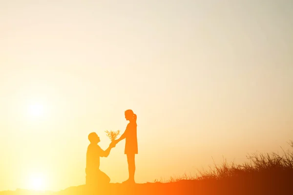 Silhouette of a man presenting a flower grass to beautiful woman — Stock Photo, Image