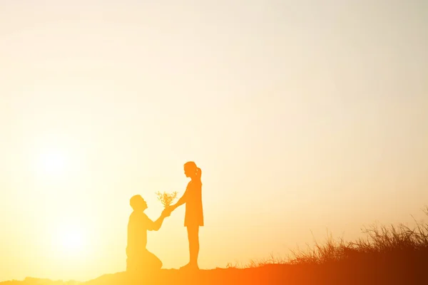 Silhouette of a man presenting a flower grass to beautiful woman — Stock Photo, Image