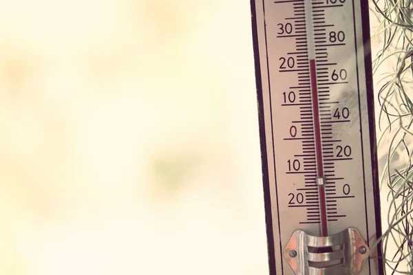 Thermometer zeigt Temperatur in Grad Celsius — Stockfoto