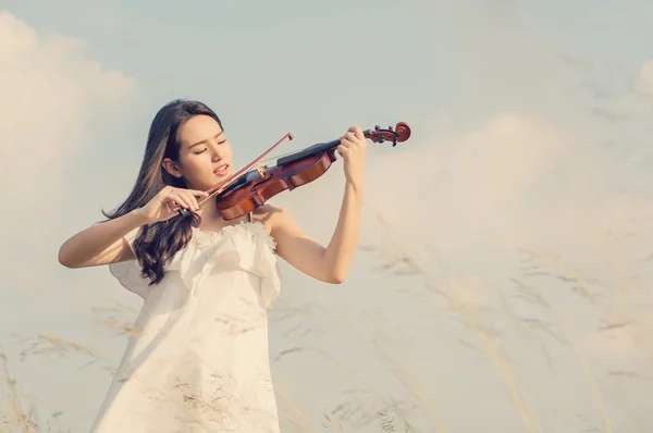 Schöne Frau, die auf der Wiese Geige spielt — Stockfoto