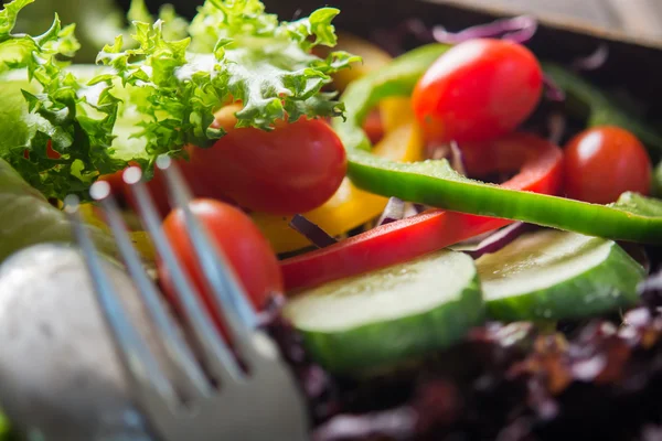 Décryptages Salade fraîche, tomate, concombre, poivre — Photo