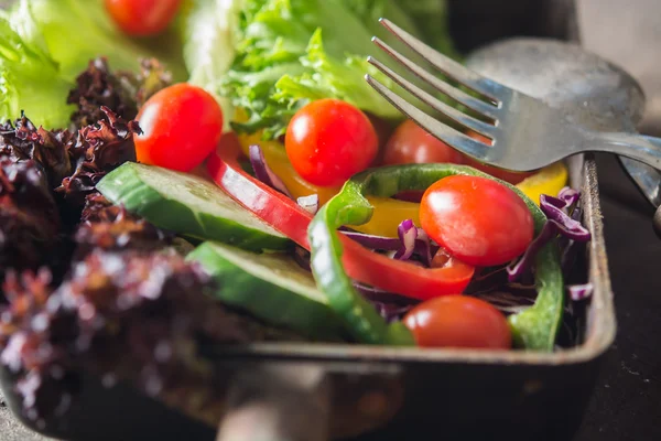 Décryptages Salade fraîche, tomate, concombre, poivre — Photo