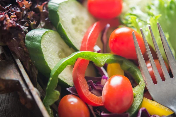 Close-up frisse salade, tomaat, komkommer, paprika — Stockfoto