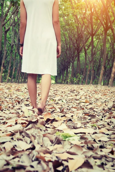 Sad woman walking alone in the forest feeling sad and lonely — Stock Photo, Image