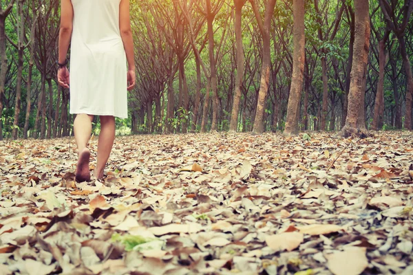 Mulher triste andando sozinha na floresta sentindo-se triste e solitário — Fotografia de Stock