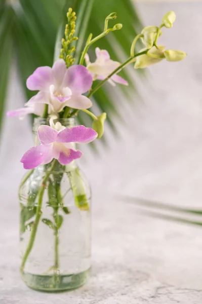 Paarse Orchidee Een Glazen Fles Selectieve Focus — Stockfoto