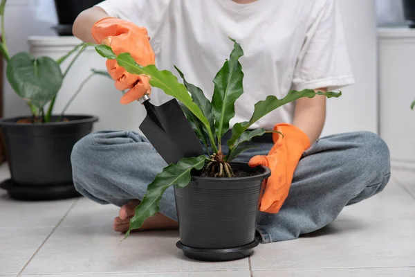 Kvinnan Bar Orange Handskar Och Planterade Träd Huset — Stockfoto