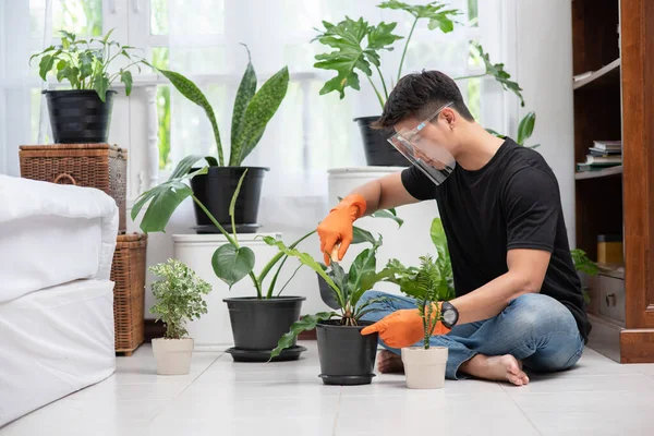 Pria Memakai Sarung Tangan Oranye Dan Menanam Pohon Dalam Ruangan — Stok Foto