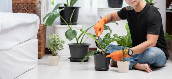 Männer Mit Orangefarbenen Handschuhen Pflanzen Drinnen Bäume — Stockfoto