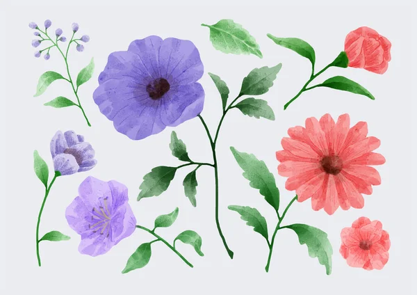 Ensemble Fleurs Peintes Aquarelle Pour Diverses Cartes Cartes Vœux — Image vectorielle