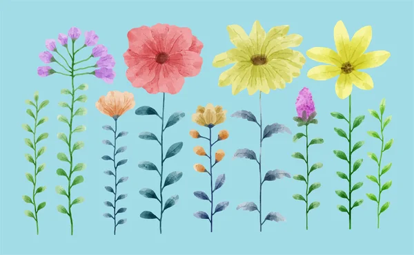Seperangkat Bunga Dicat Warna Air Untuk Berbagai Kartu Ucapan - Stok Vektor